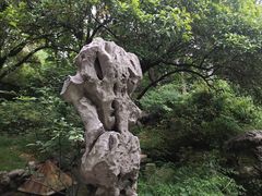 -君来梁溪饭店-餐厅