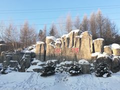 -北极星广场