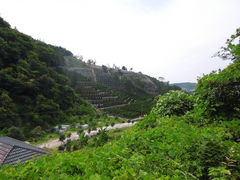 -午潮山国家森林公园