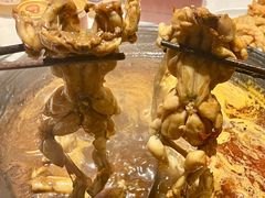 -老天桥蛙炉火锅(姑苏总店)