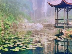 -莫干山风景区