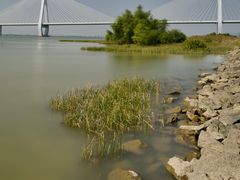 -芒洲湿地公园
