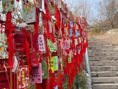 -香山公园