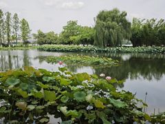 -金银湖国家城市湿地公园