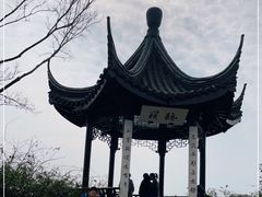 -贡湖湾湿地公园
