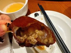 -觀芷隐轩