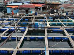 -蓝湾碧波·老字号·疍家非遗海上餐厅
