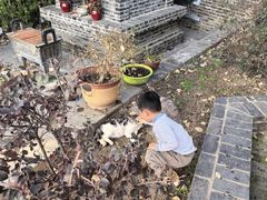 -长春观