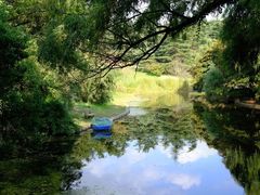 -上海共青森林公园