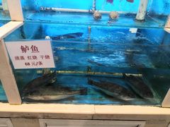 -天津乾毓德饭庄·清真传统炒菜·海鲜烧烤(咸阳路店)