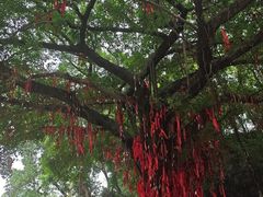 -芦苞胥江祖庙
