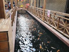 -侠成水上农庄(工业大道店)