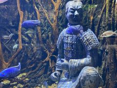 -华夏文旅海洋公园