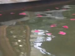 -郑州银基黄帝宫御温泉