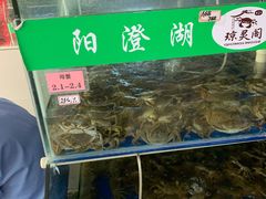 -阳澄湖大闸蟹·琼灵阁牌品牌连锁(吴中总店)