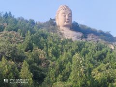 -蒙山大佛景区