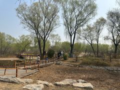 -燕郊植物园