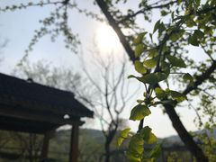 -龙寺生态园