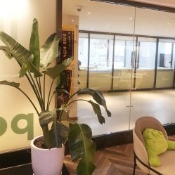 -明宇集团·积木枝芽母婴健康管理中心(天府店)