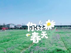 -枫林花海