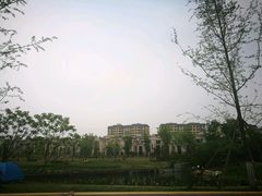 -两河城市森林公园
