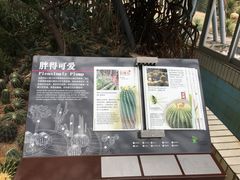 -深圳仙湖植物园-停车场