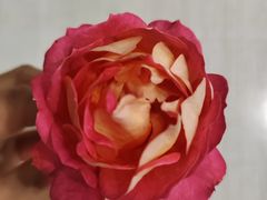 -椒爱水煮鱼川菜(CBD万达店)