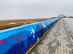 -南汇嘴观海公园