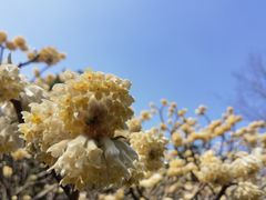 -幕燕滨江·长江观音景区