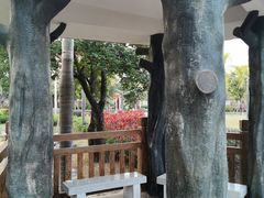 -荔湾区儿童公园