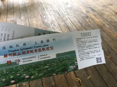 -微山湖红荷湿地景区