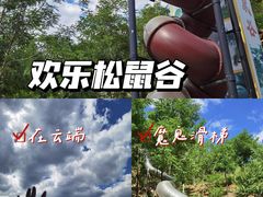 -欢乐松鼠谷