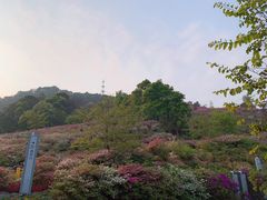 -广州市石门国家森林公园