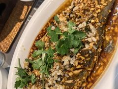 -百味地锅鸡(二店·财校分店)