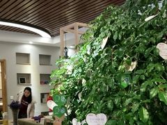 -安多素食(广仁寺路店)