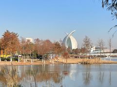 -春花秋色城市公园