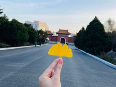-北陵公园