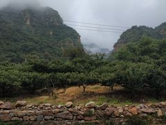 -湖洞水自然风景区
