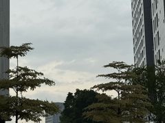 -星巴克(深圳西乡朗峻广场店)