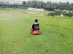 景点滑草场-北戴河集发农业梦想王国