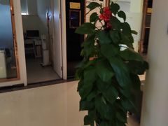 -柏乐口腔(南宁总院)