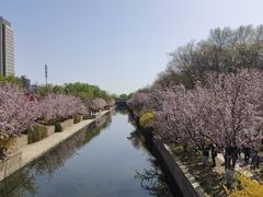 -海棠花溪(元大都城垣遗址公园)