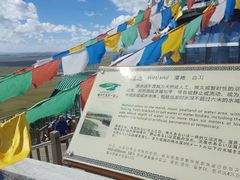 -黄河九曲第一湾
