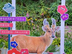 -广州市白云山风景名胜区