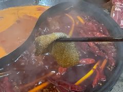 -谭记重庆老火锅(总店)