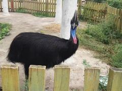 -哈尔滨北方森林动物园