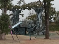 -九龙湖公园