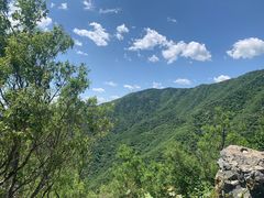 -北京鹫峰国家森林公园