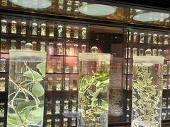 -广东中医药博物馆