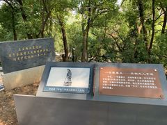 -马王堆汉墓遗址